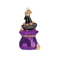 thumbnail image 3 of Old World 26094 Blown Glass Ornament, Halloween Trick or Treat Kitty 4 Inches, 3 of 5