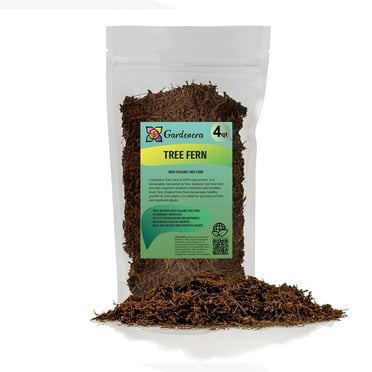⭐ BEST POTTING MIXES - New Zealand Tree Fern - Orchid and Epiphytal Plants Growing Medium and Reptile Substrate by ://N ★ LOVA - (4 Quart Bag)