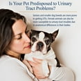thumbnail image 7 of RX Vitamins 708429089209 Cranberry Rx Urinary Supplement Capsules for Dogs & Cats - 90 Count, 7 of 7