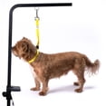 thumbnail image 2 of Country Brook Petz­® 5/8 Inch Yellow Nylon Spring Loaded Grooming Loop, 20 Inch, 2 of 5