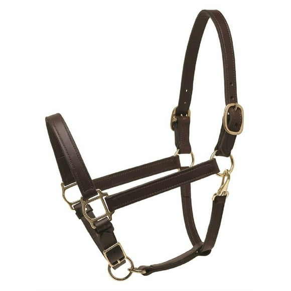 Perri's 1" Turnout Halter (Havana, Cob)