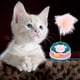 thumbnail image 3 of Juego Interactivo De Juguetes Para Gatos Con Pista Varita Y Vaso Juguetes Para Gatos De Interior Aburrimiento, 3 of 6