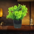 thumbnail image 4 of WSZZL Decorative Fake Plants, Plastic Indoor Greenery, Realistic Potted Flowers, Home Decoration, Wedding and Event Decor, Stable and Maintenance Free, Versatile Use, 4 of 4