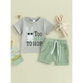 thumbnail image 2 of JYYYBF Toddler Boys Easter Outfits Bunny Print Short Sleeve T-Shirt and Elastic Shorts for 2 Pcs Vacation Clothes Set, 2 of 7