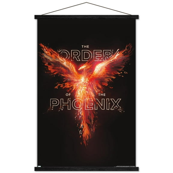 Harry Potter - Order of the Phoenix Magic Wall Poster with Magnetic Frame, 22.375" x 34"