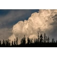 thumbnail image 2 of Jones, Adam 18x13 Black Ornate Wood Framed with Double Matting Museum Art Print Titled - Trees silhouetted against cumulus cloud-Yellowstone National Park-Wyoming, 2 of 4