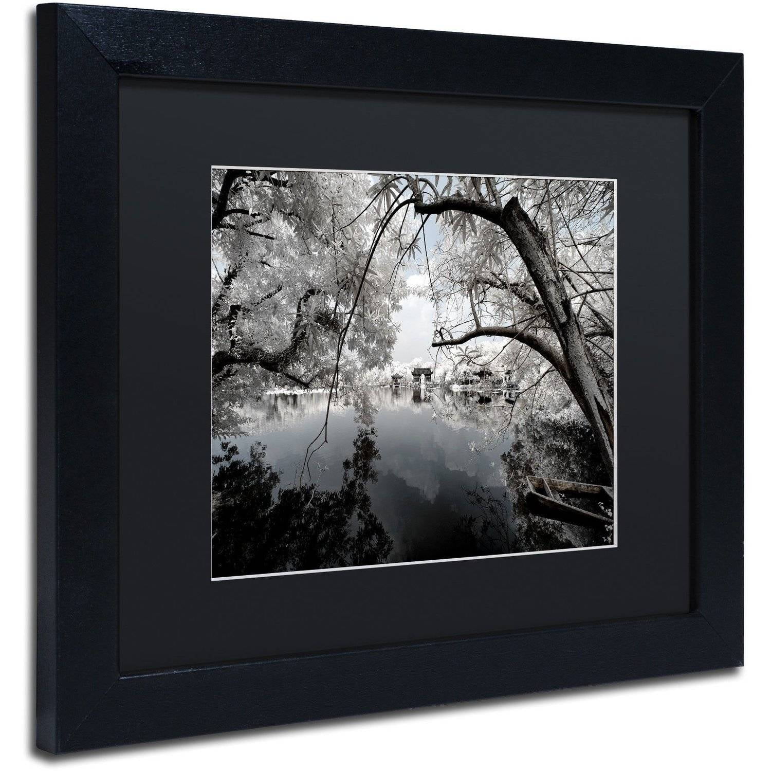 Trademark Fine Art "White Foliage" Canvas Art by Philippe Hugonnard, Black Matte, Black Frame