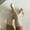 White, variant on Babysbule Boots for Women Winter Fashion Large Size Women Long Tube Low Heeled Shoes Knitting Over The Knee
