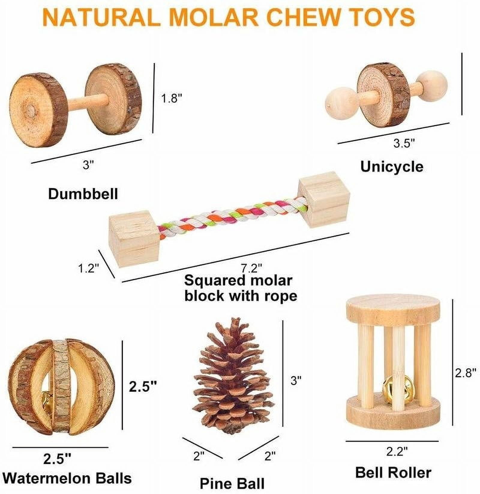 ODOMY 10 Pcs/set Hamster Toy Set Wooden Dumbbells Teeth Care Molar Toy Natural Wooden Exercise Bell Roller Toy