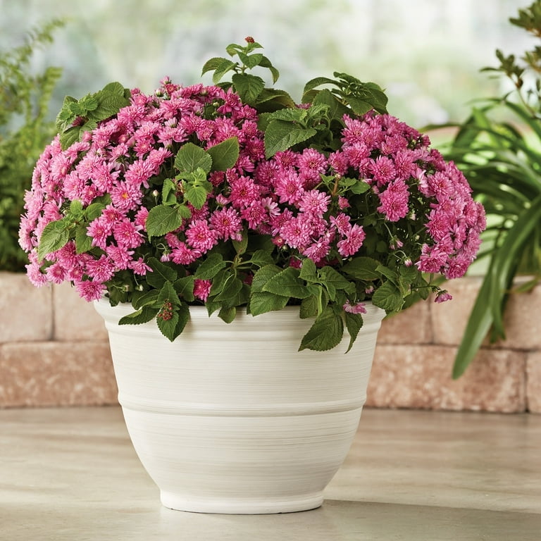 Mainstays 14" D x 10" H Ferenza White Recycled Resin Planter