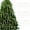 Pink, variant on RoamHome 12-Pack Christmas Silk Ribbon Bows - Durable Tree Pendants for Festive Decor, Reusable Ornaments, Easy Hang, 31.5in Length