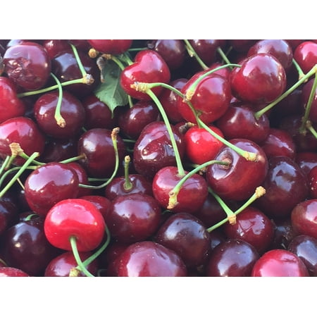- Fruit Organic Cherries Fresh Market Red Berries Poster Print 24 x 36