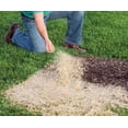 thumbnail image 4 of EZ-Straw Seeding Mulch with Tack - Biodegradable Processed Straw ? 2.5 CU FT Bale (Covers up to 500 sq. ft.) (2 Pack), 4 of 6