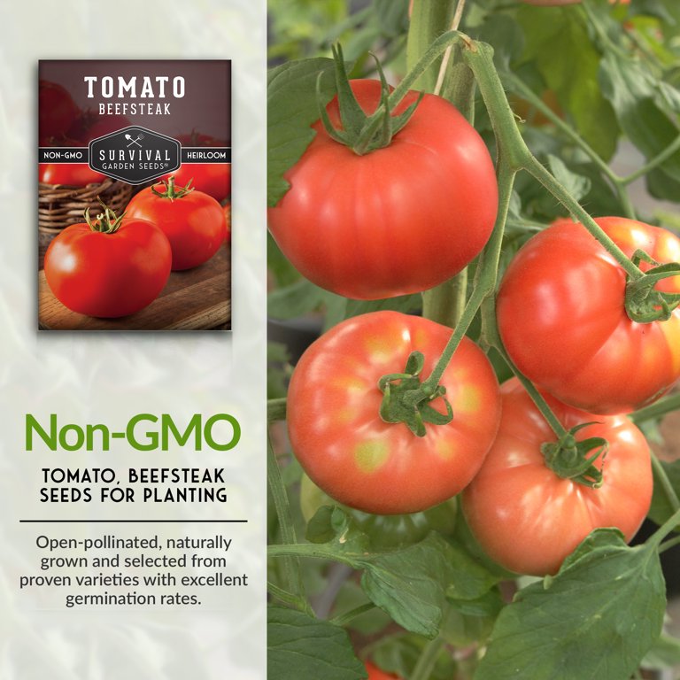 Herloom Beefsteak Tomato Seeds Organc Vegetable Garden Non | Etsy