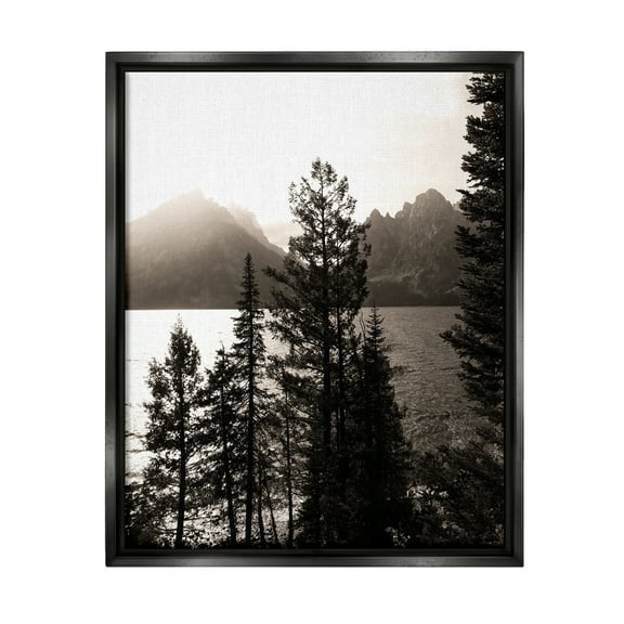 Stupell Industries Trees & Lake View Landscape Photography Black Floater Framed Canvas Art Print Wall Art, 17 x 21