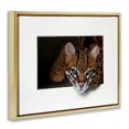 thumbnail image 2 of Stupell Industries Traditional Menacing Cheetah Glaring Jungle Cat Obscure Gold Floating Frame Canvas Art, 31 x 25, by Alan Weston, 2 of 7