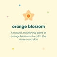 thumbnail image 3 of Champú y gel de baño Babyganics Orange Blossom 480 ml (x3), 3 of 9