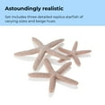 thumbnail image 5 of biOrb Natural Starfish Set, 5 of 9