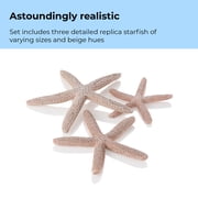 biOrb Natural Starfish Set