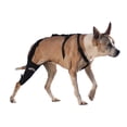 thumbnail image 1 of WALKABOUT Genouillère (Xlarge Droite 16-19 Pouces), 1 of 4