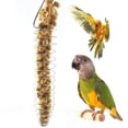 thumbnail image 3 of Hanging Chew Teething Corn Fruit For Parrot Conure Macaw Vegetable Bird Feeder Pet Toy Foraging Device Feeding Tool SILVER, 3 of 8