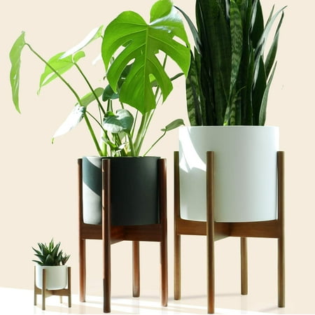 - High Supply Mid-Century Modern Plant Stand - Acacia - EXCLUDING 10