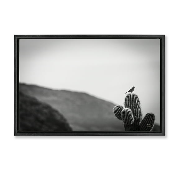 Stupell Industries On Guard Bird & Cactus Landscape & Nature Photography Black Floater Framed Canvas Art Print Wall Art, 25 x 17