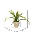 thumbnail image 2 of Vickerman 12" Artificial Green Fern Bush., 2 of 3