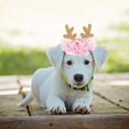 thumbnail image 4 of Festive Reindeer Star Hat Valentine Holiday Party for Cats and Dogs with Adjustable Strap Design, 4 of 5
