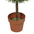 thumbnail image 3 of Northlight 5' Unlit Artificial Potted Two-Tone Boxwood Triple Ball Topiary Tree, 3 of 4