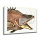 thumbnail image 2 of Póster de lienzo con pintura de peces, decoración de dormitorio, paisaje deportivo, decoración de oficina, regalo, estilo marco, 20 x 30 cm, 2 of 8