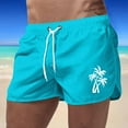 thumbnail image 2 of Men Swim Trunks Three Coconut Trees Print 2 In 1 Quick Dry With Pockets Swimwear Bathing Suits Beach Outdoor Sky Blue XXL, 2 of 4