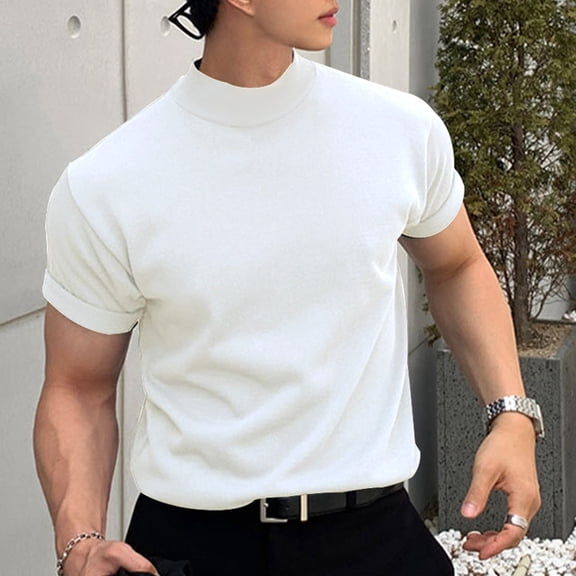 Ceisia Men's Summer Slim Fit Solid Short Sleeve Crewneck T-Shirt Casual Fashion Soft Cotton Blend Comfortable Everyday Essential Streetwear Top Gifts for Father
