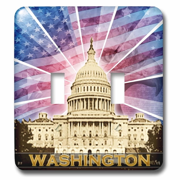 3dRose, Washington DC patriotic American flag with Bald Eagle and Capitol building, double toggle switch