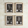 thumbnail image 2 of Framed Painting- Plants Set/4, 2 of 2