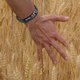 thumbnail image 2 of Pulseras de silicona para hombres y mujeres | Inspirational Verses Rubber Bracelets | Motivational Colorful Soft Gel Wristbands, 2 of 6