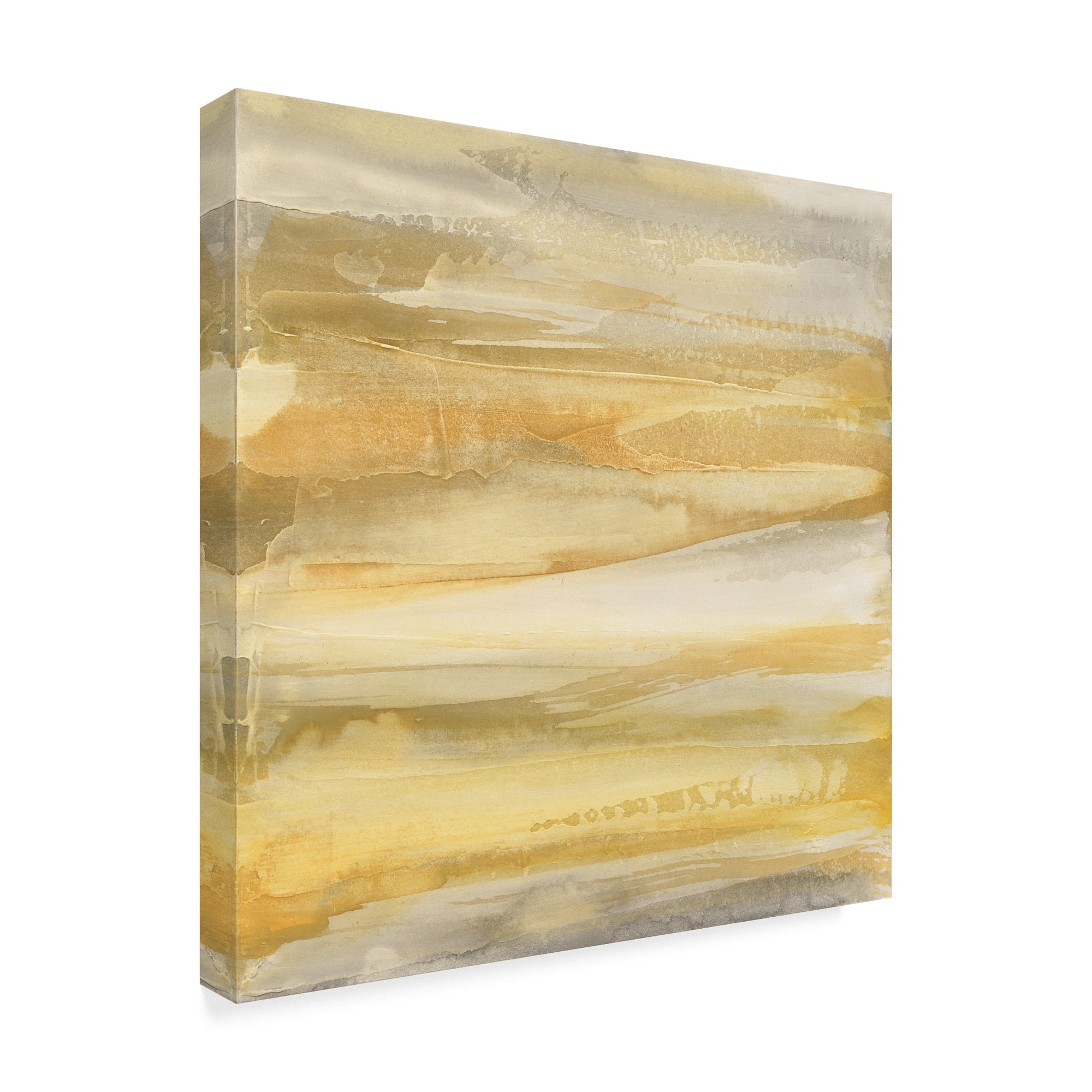 Trademark Fine Art 'Grey and Gold' Canvas Art by Chris Paschke