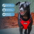 thumbnail image 3 of Voyager Step-In Lock Dog Harness & Reflective Leash Set w/ Neoprene Handle 6ft - For Small to Large Breed Dogs/ Cats, Cute & Heavy-Duty for Walking, Running & Training - Red Black Trim, M, 3 of 9
