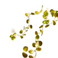 thumbnail image 3 of GFHFHITJ Christmas Garlands, Battery Operated Artificial Green Leaf Vine Light, Good for Indoor Outdoor Home Christmas Decoration, 3 of 4