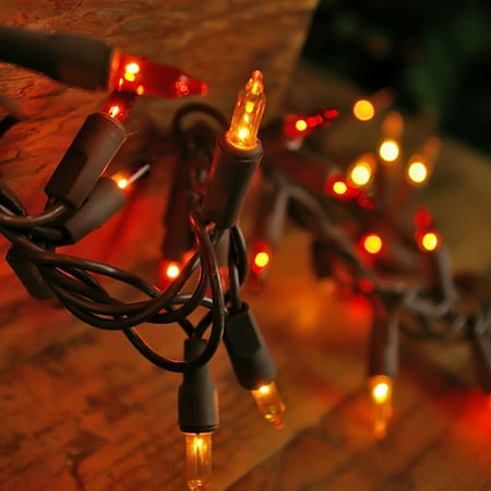 Outdoor String Lights Harvest Cer 150 Mini Outdoor String Lights Harvest Cer 150 Mini Indoor Plug In