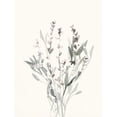 thumbnail image 3 of Caroline, Emma 12x14 Black Modern Framed Museum Art Print Titled - Delicate Sage Botanical V, 3 of 5