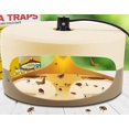 thumbnail image 1 of Trampa para pulgas tipo cúpula. Trampas para insectos naturales, inodoras, no tóxicas, seguras para uso en interiores, niños y mascotas, paquete de 2, 18,5 x 11 cm, 1 of 4