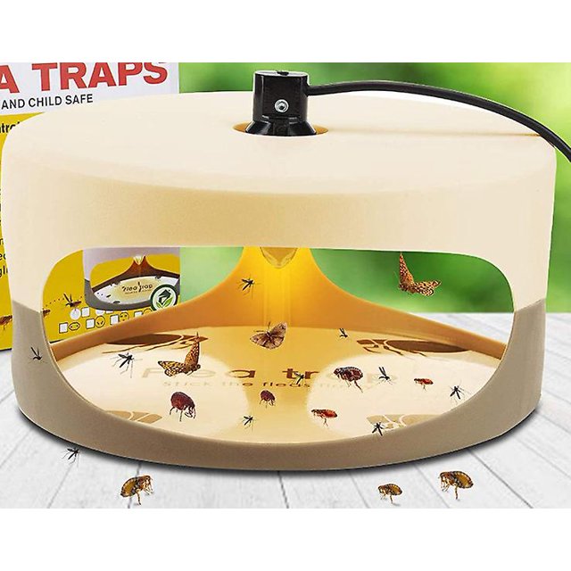 Trampa para pulgas tipo cúpula. Trampas para insectos naturales, inodoras, no tóxicas, seguras para uso en interiores, niños y mascotas, paquete de 2, 18,5 x 11 cm