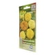 thumbnail image 2 of Semillas Cempasúchil Grande Doble Vita Amarillo 0.7G, 2 of 3