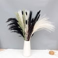 thumbnail image 2 of Hierba de pampa seca negra Plantas de hierba de pampa blanca Decoración Ramas de hierba de pampa artificial boho para arreglos florales de boda Decoración del hogar Xemadio CJWUS-7029, 2 of 4