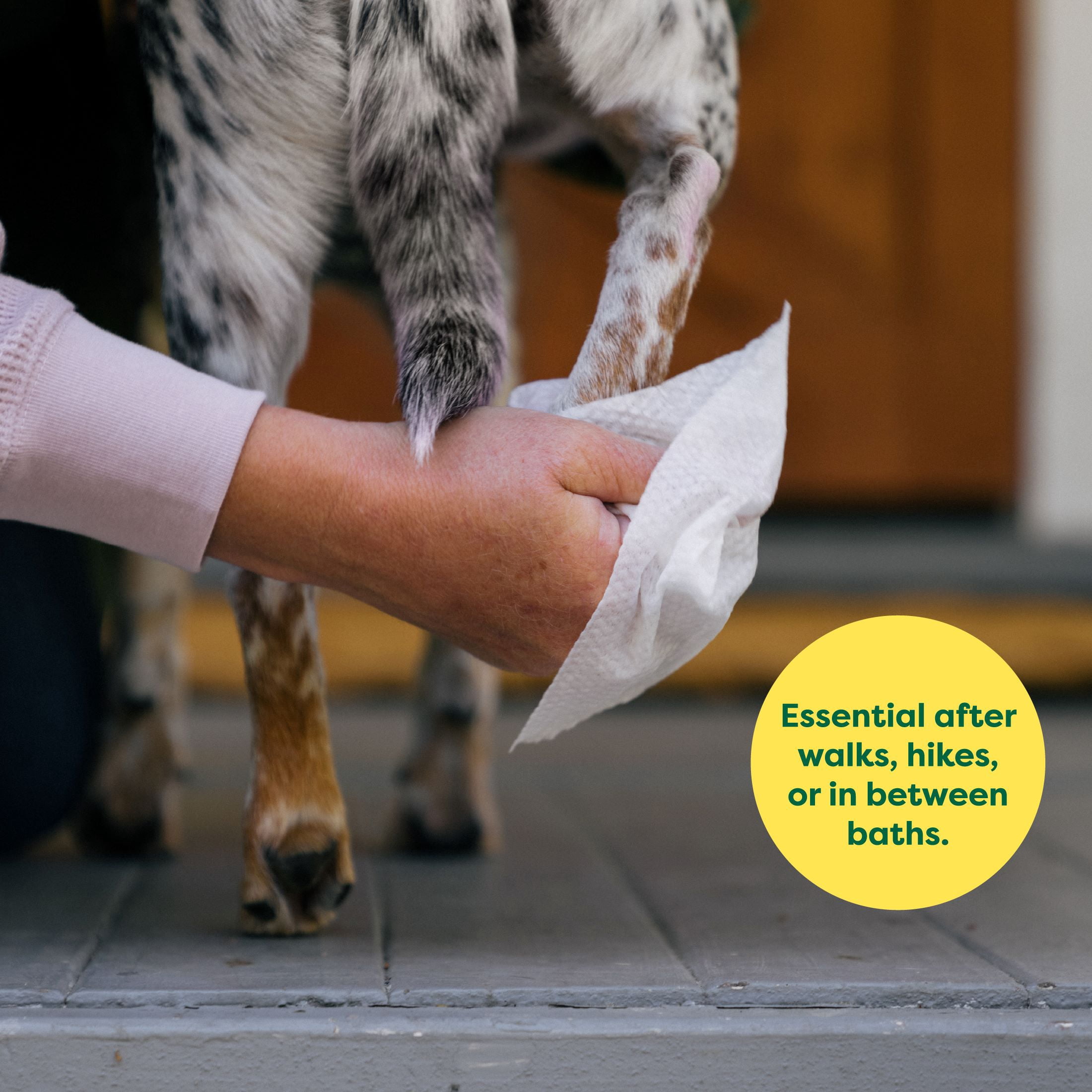 (2 pack) Earth Rated Dog Grooming Wipes, Lavender, 100 Count