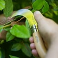 thumbnail image 4 of Opinel No. 10 Gardening Knife, 4 of 5
