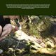 thumbnail image 5 of Yuarrent Traveling Lake River Water Filtro de emergencia Backpacking Picnic Kit de filtración portátil reutilizable Equipo para exteriores Kits de desorden para acampar Verde Yuarrent OD029697-02, 5 of 6