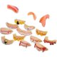 thumbnail image 1 of 50 Uds Dientes Divertidos Dientes Postizos Feos Juguete De Broma Para Decoración Navideña, 1 of 3