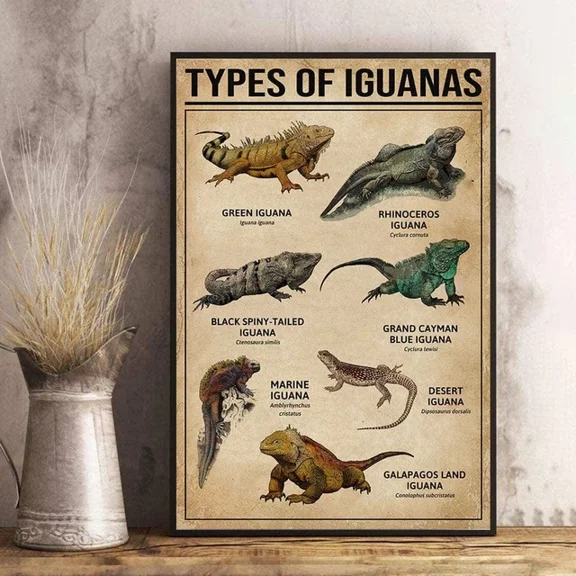 Kna Prints - Poster Types Of Iguana Poster_4315, UNFRAMED-8x12